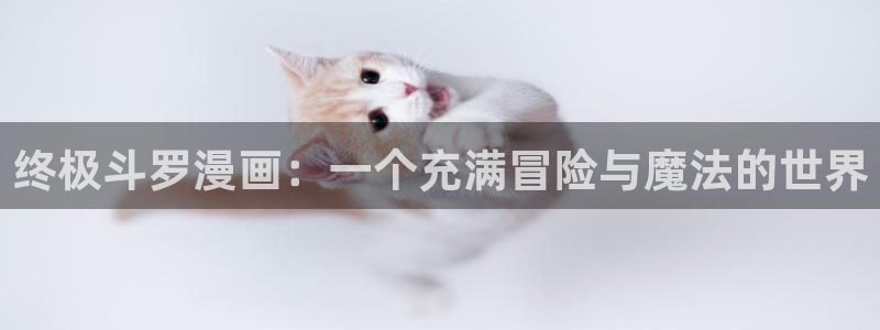 奇漫屋官网：终极斗罗漫画：一个充满冒险与魔法的世界