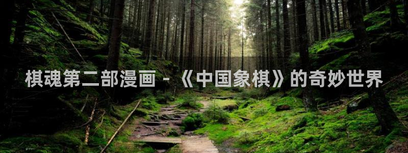 奇漫屋漫画下拉式：棋魂第二部漫画 - 《中国象棋》的奇妙世界