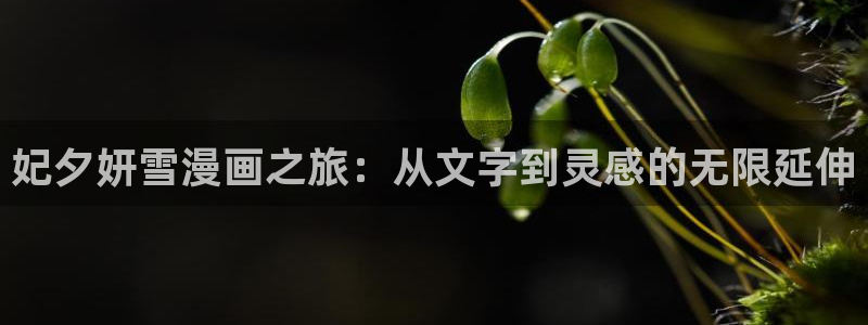 斗罗大陆漫画完整免费观看下拉式奇漫屋：妃夕妍雪漫画之旅：从文字到灵感的无限延伸